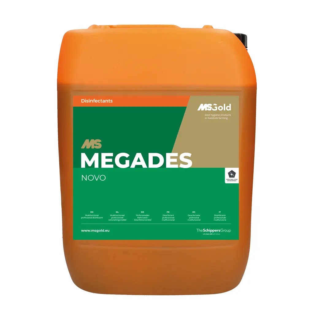 MegaDes image 1