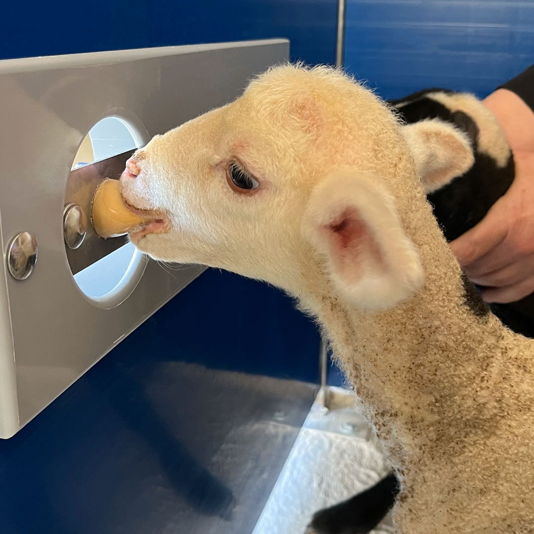 Trofos 60 Lamb & Kid Milk image 2